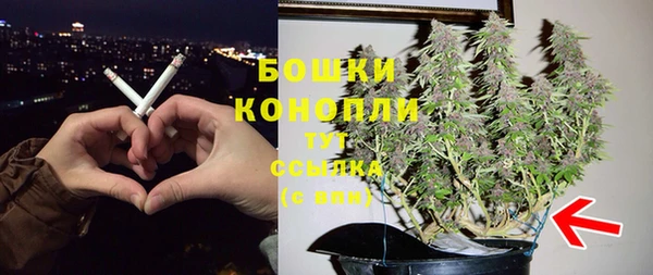 jwh Ельня