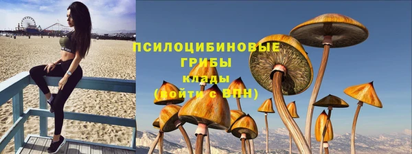 альфа пвп Елабуга